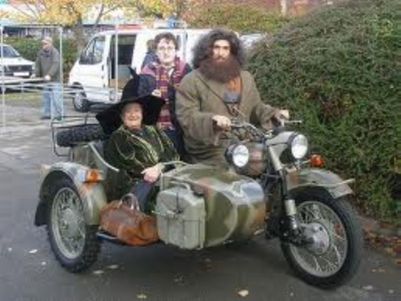 hagrid lookalike